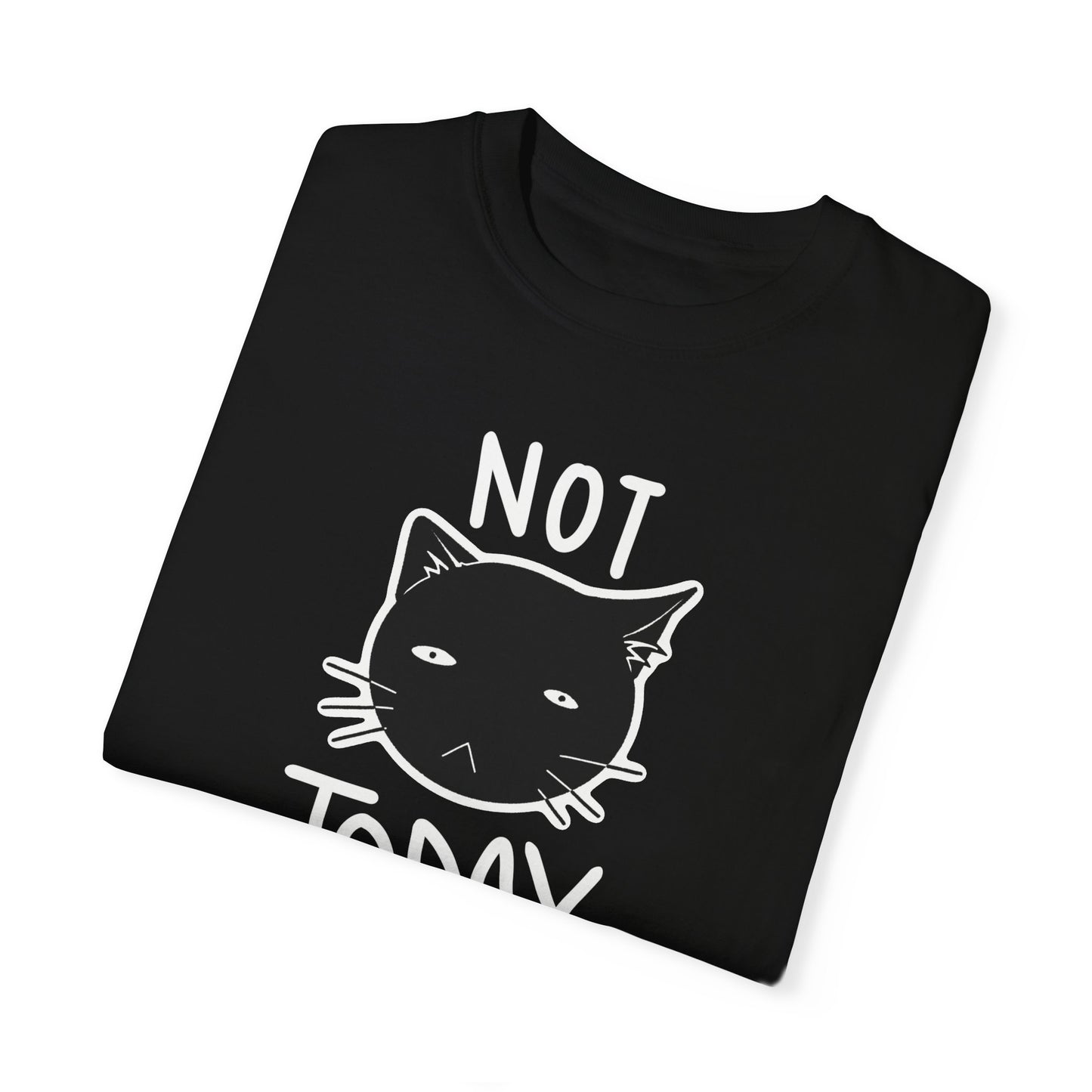 Not Today Disgruntled Cat T-Shirt