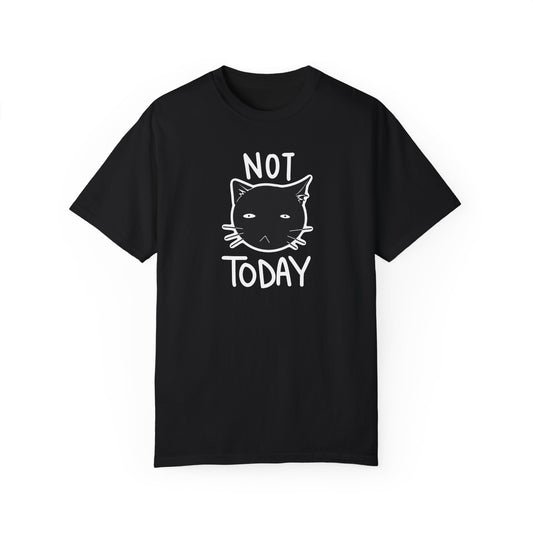 Not Today Disgruntled Cat T-Shirt